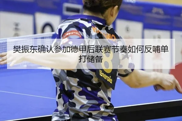 樊振东确认参加德甲后联赛节奏如何反哺单打储备